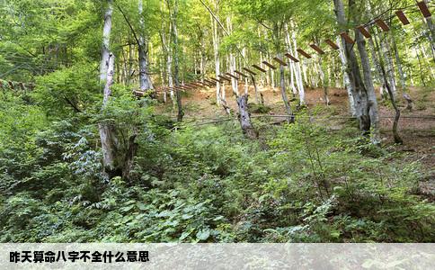 昨天算命八字不全什么意思