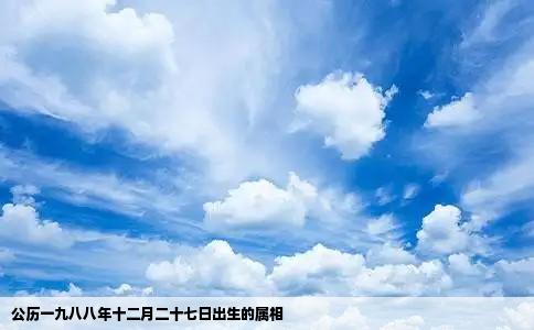 公历一九八八年十二月二十七日出生的属相
