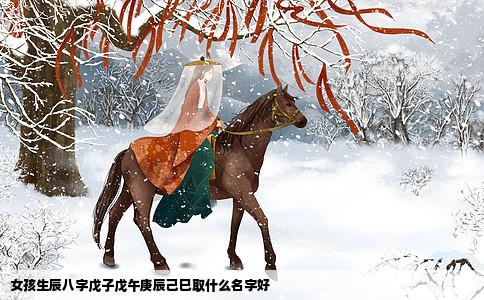 女孩生辰八字戊子戊午庚辰己巳取什么名字好