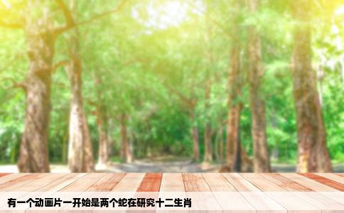 有一个动画片一开始是两个蛇在研究十二生肖