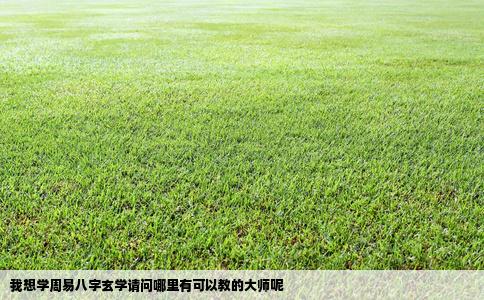 我想学周易八字玄学请问哪里有可以教的大师呢