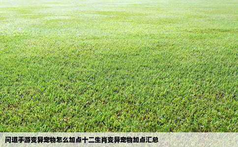 问道手游变异宠物怎么加点十二生肖变异宠物加点汇总