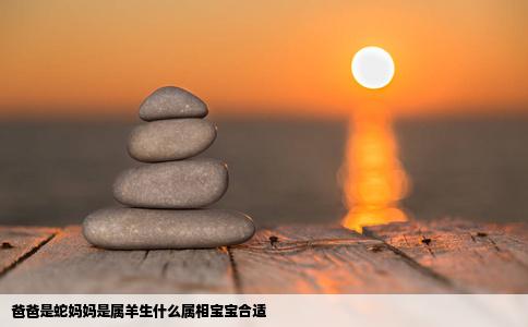 爸爸是蛇妈妈是属羊生什么属相宝宝合适