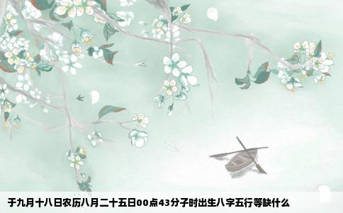 于九月十八日农历八月二十五日00点43分子时出生八字五行等缺什么