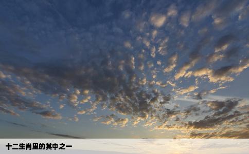 十二生肖里的其中之一