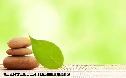 阴历正月廿三阳历二月十四出生的属相是什么