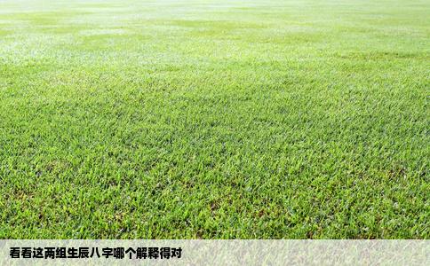 看看这两组生辰八字哪个解释得对