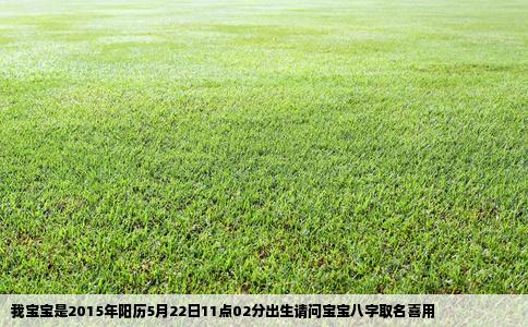 我宝宝是2015年阳历5月22日11点02分出生请问宝宝八字取名喜用