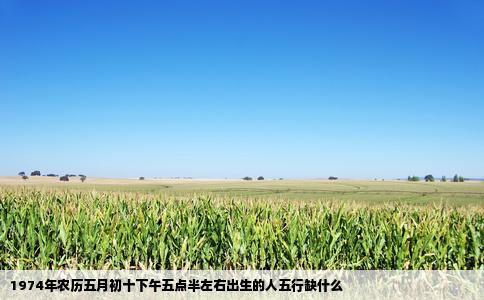 1974年农历五月初十下午五点半左右出生的人五行缺什么
