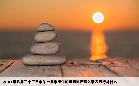 2001年八月二十二日中午一点半出生的男孩姓严怎么取名五行补什么