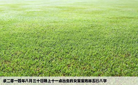 求二零一四年八月三十日晚上十一点出生的女宝宝姓林五行八字
