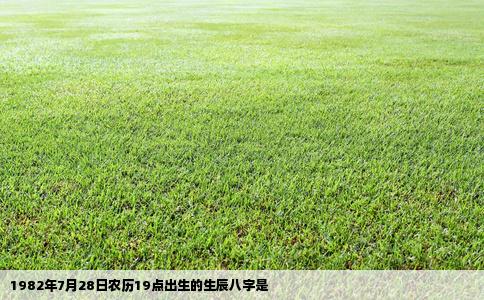 1982年7月28日农历19点出生的生辰八字是