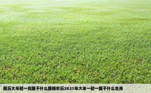 阴历大年初一应属于什么属相农历2021年大年一初一属于什么生肖