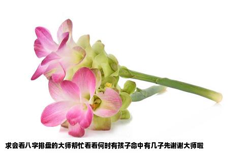 求会看八字排盘的大师帮忙看看何时有孩子命中有几子先谢谢大师啦