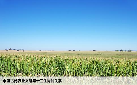 中国古代农业文明与十二生肖的关系