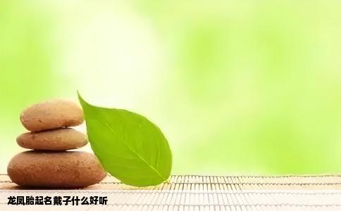 龙凤胎起名戴子什么好听