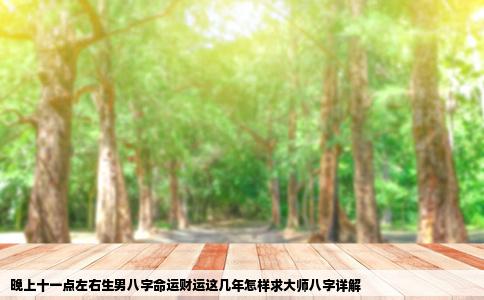 晚上十一点左右生男八字命运财运这几年怎样求大师八字详解