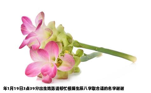年1月19日3点39分出生姓陈请帮忙根据生辰八字取合适的名字谢谢
