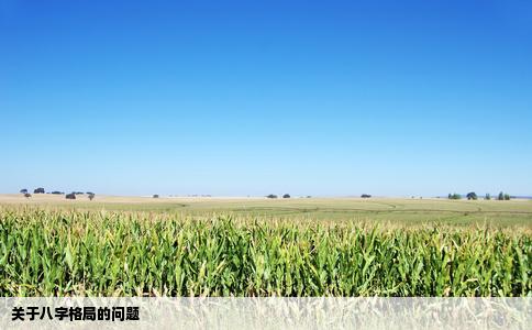 关于八字格局的问题