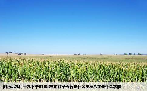阴历后九月十九下午515出生的孩子五行是什么生辰八字是什么求解