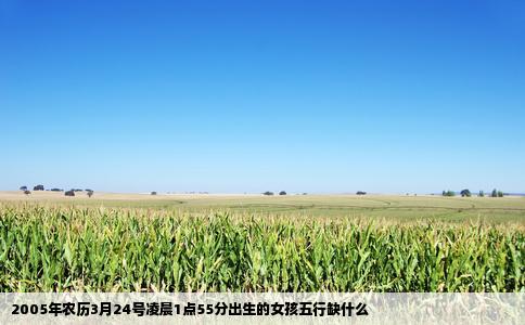 2005年农历3月24号凌晨1点55分出生的女孩五行缺什么