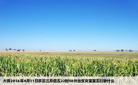 大师2016年4月11日农历三月初五22时50分出生女宝宝五行缺什么