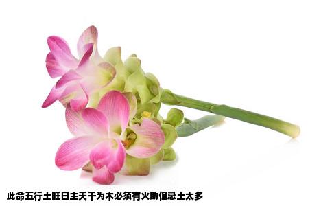 此命五行土旺日主天干为木必须有火助但忌土太多