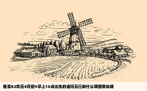 我是82农历4月初9早上10点出生的请问五行缺什么呢很想知道