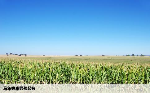 马年姓李男孩起名