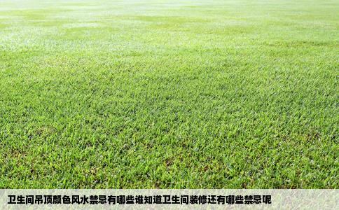 卫生间吊顶颜色风水禁忌有哪些谁知道卫生间装修还有哪些禁忌呢