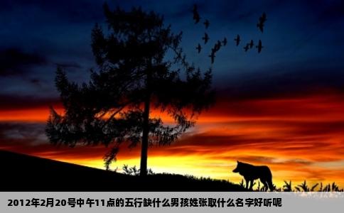 2012年2月20号中午11点的五行缺什么男孩姓张取什么名字好听呢