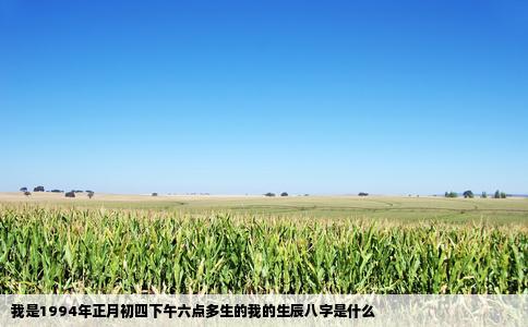 我是1994年正月初四下午六点多生的我的生辰八字是什么