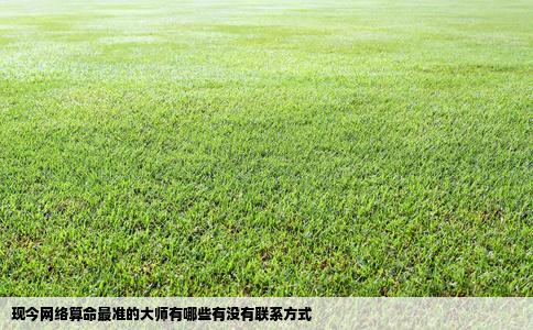 现今网络算命最准的大师有哪些有没有联系方式