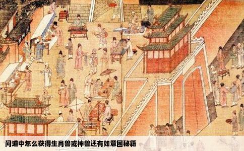 问道中怎么获得生肖兽或神兽还有如意圈秘籍