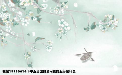 我是19790614下午五点出身请问我的五行是什么