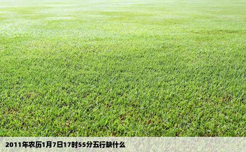 2011年农历1月7日17时55分五行缺什么