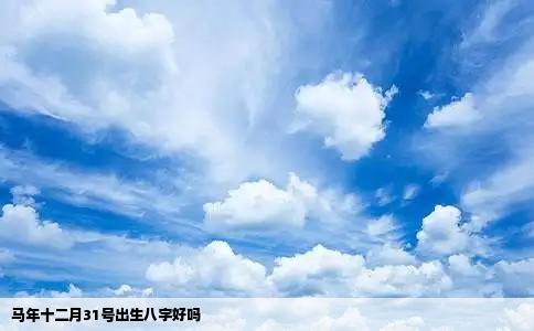 马年十二月31号出生八字好吗