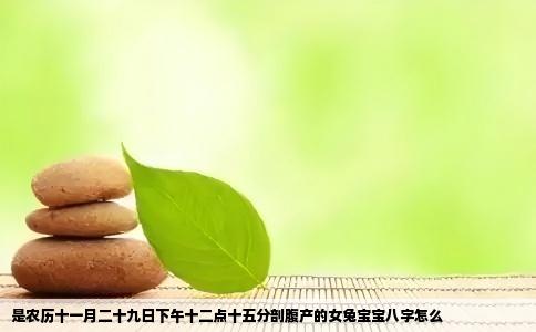 是农历十一月二十九日下午十二点十五分剖腹产的女兔宝宝八字怎么