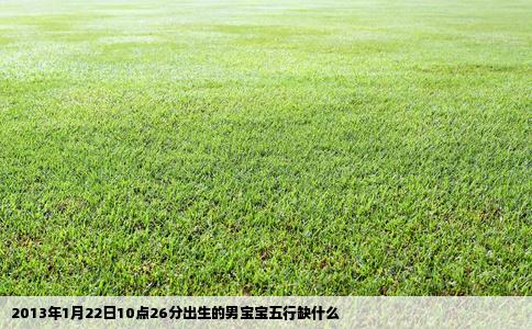 2013年1月22日10点26分出生的男宝宝五行缺什么