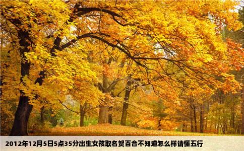 2012年12月5日5点35分出生女孩取名贺百合不知道怎么样请懂五行
