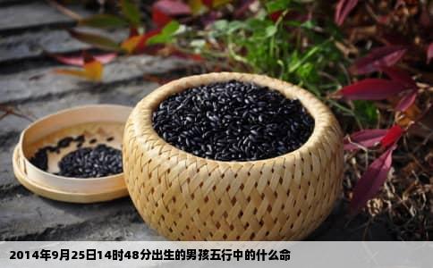 2014年9月25日14时48分出生的男孩五行中的什么命