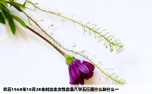 农历1968年10月28未时出生女性命里八字五行属什么缺什么一