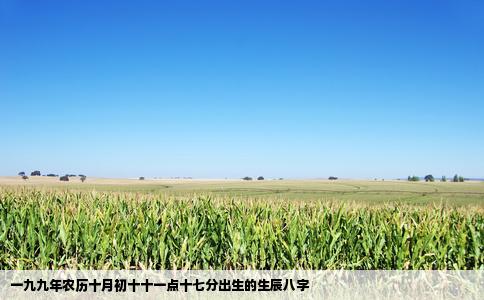 一九九年农历十月初十十一点十七分出生的生辰八字