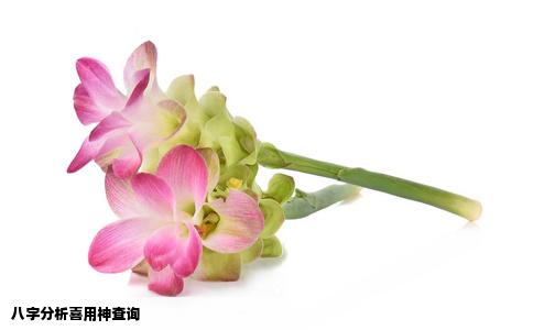 八字分析喜用神查询