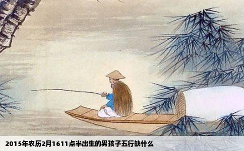 2015年农历2月1611点半出生的男孩子五行缺什么
