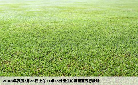 2008年农历7月26日上午11点55分出生的男宝宝五行缺啥
