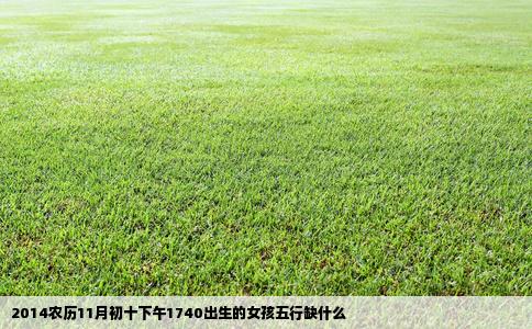 2014农历11月初十下午1740出生的女孩五行缺什么