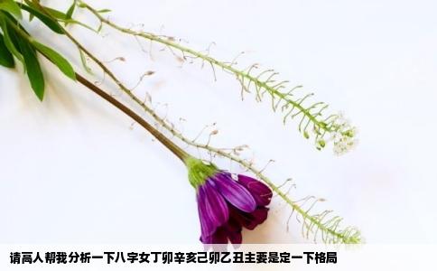 请高人帮我分析一下八字女丁卯辛亥己卯乙丑主要是定一下格局