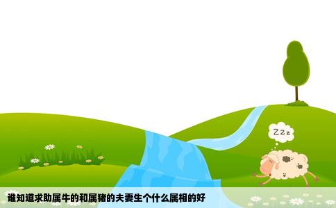 谁知道求助属牛的和属猪的夫妻生个什么属相的好