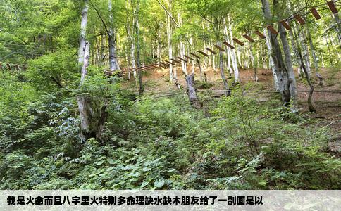 我是火命而且八字里火特别多命理缺水缺木朋友给了一副画是以